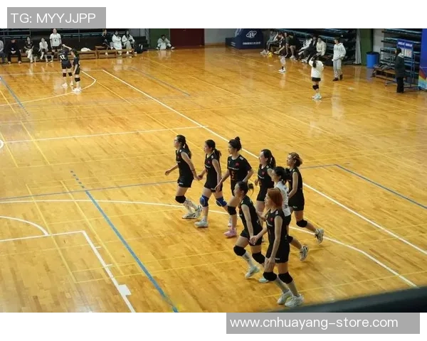 排球专题：聚焦南京排球队的力量